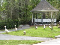 100 Trace Loop in Mandeville, LA - Building Photo - Building Photo