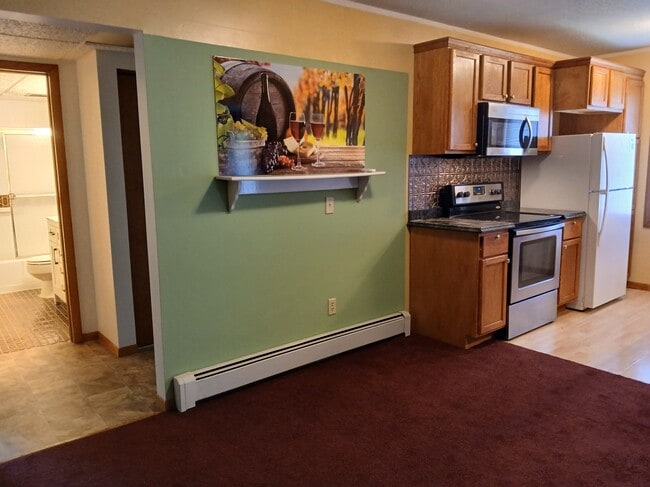 521 19th St NW, Unit 521 19 St NW Rochester MN in Rochester, MN - Building Photo - Building Photo