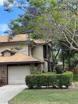 1450 Mahogany Ln in Palm Harbor, FL - Building Photo
