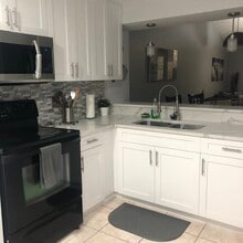 327 Lake Placid Ct in Oldsmar, FL - Foto de edificio - Building Photo