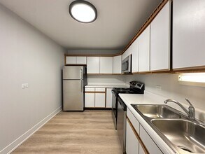 1349 N Dearborn St in Chicago, IL - Building Photo - Building Photo