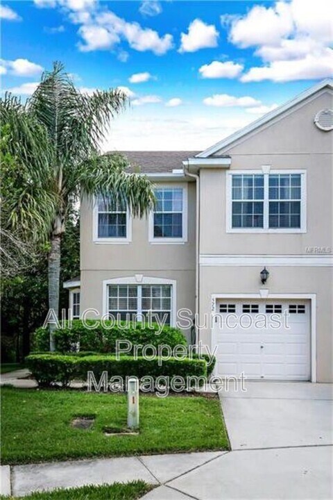572 Black Lion Dr NE in St. Petersburg, FL - Building Photo