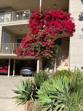 1173 N Curson Ave, Unit 7 in West Hollywood, CA - Foto de edificio - Building Photo