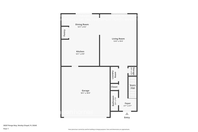 30307 Pongo Way in Wesley Chapel, FL - Building Photo - Building Photo