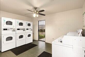 Terre at Creekside in Santee, CA - Building Photo - Building Photo