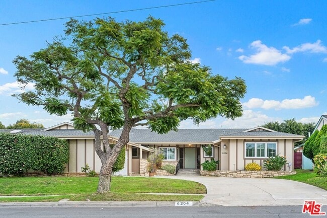 6204 S Corning Ave in Los Angeles, CA - Building Photo - Building Photo