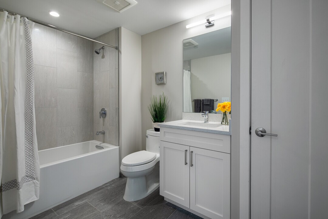 7 Beech St, Unit 312 in Cambridge, MA - Foto de edificio