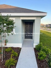 415 Sunlit Coral St in Ruskin, FL - Building Photo - Building Photo