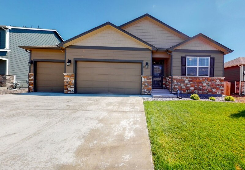 911 Camberly Dr in Windsor, CO - Building Photo