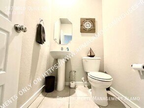 507 Wild Olive Wy in San Antonio, TX - Building Photo - Building Photo