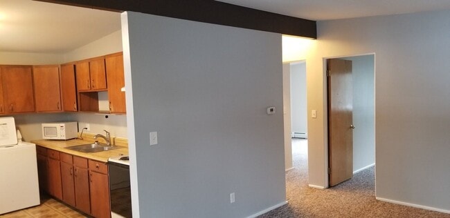 1312 Wright St in Ann Arbor, MI - Building Photo - Building Photo