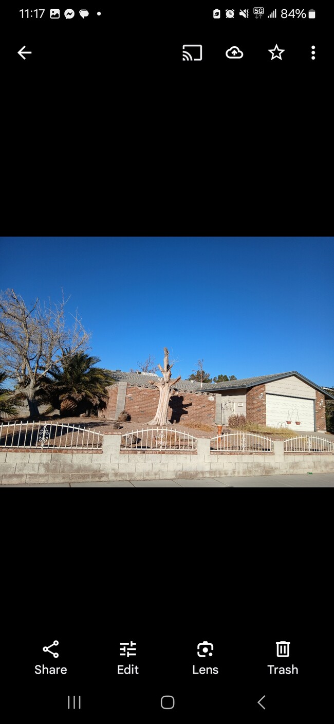 401 Cactus Bloom Ln in Las Vegas, NV - Building Photo - Building Photo