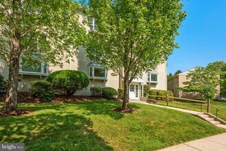 2919 Willston Pl in Falls Church, VA - Building Photo - Building Photo