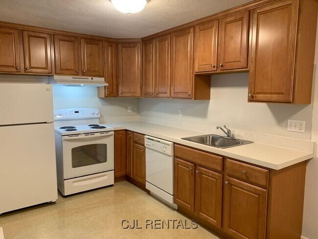 5 Viking Ct in Arlington, MA - Building Photo - Building Photo