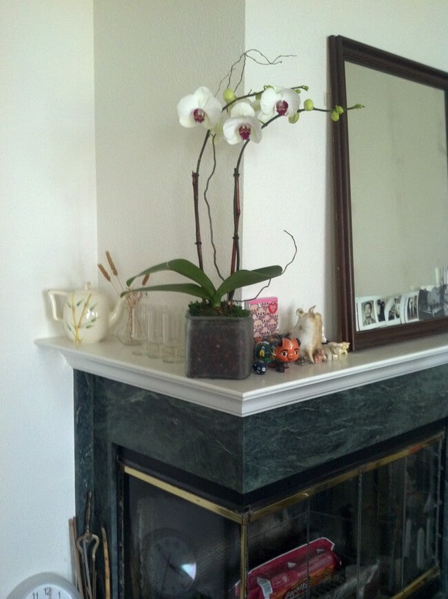 736 Great Hwy, Unit 3 in San Francisco, CA - Building Photo - Building Photo