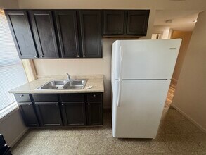10212 S King Dr in Chicago, IL - Building Photo - Building Photo