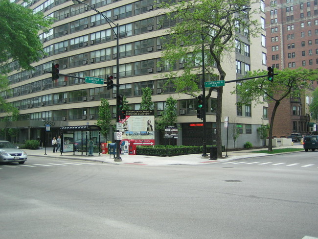 2930 N Sheridan Rd in Chicago, IL - Foto de edificio - Building Photo