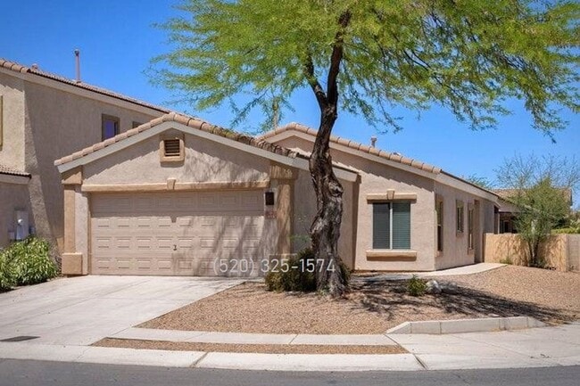property at 493 East Placita Nodo