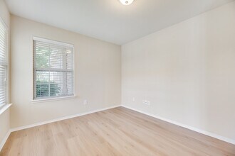 1445 Birmingham Forest Dr in Frisco, TX - Building Photo - Building Photo
