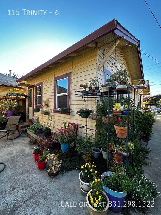 115 Trinity St in Santa Cruz, CA - Building Photo