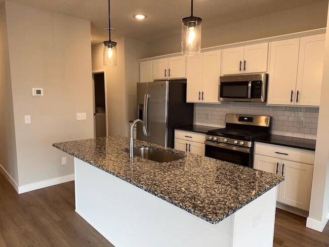 10427 Robinwood Ct in Chaska, MN - Building Photo - Building Photo