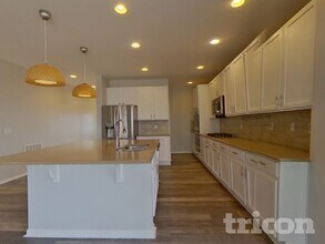 115 Dunsinane Ln in Castle Rock, CO - Building Photo - Building Photo