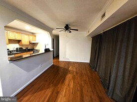 8000 Chanute Pl in Falls Church, VA - Building Photo