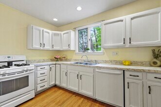 20 Willow St in Newton, MA - Building Photo - Building Photo