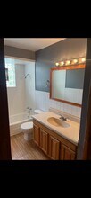 100 Vana Dr in Willow Springs, IL - Foto de edificio - Building Photo