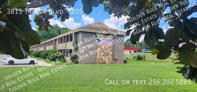 3813 SW Triana Blvd in Huntsville, AL - Foto de edificio - Building Photo