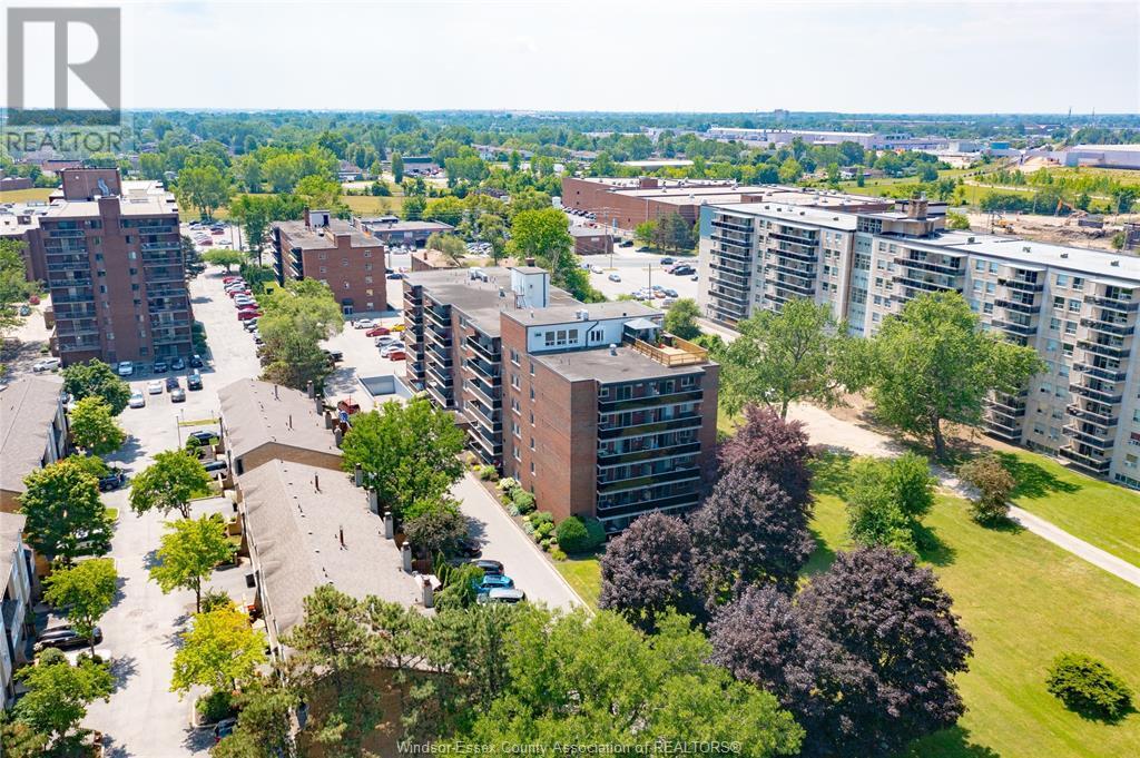3900 Wyandotte St E in Windsor, ON - Building Photo