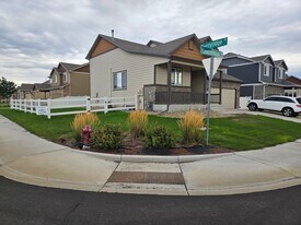 491 Havenbrook Dr in Windsor, CO - Building Photo