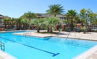 Pool - PROSPER Gulfport Apartments in Gulfport, Mississippi