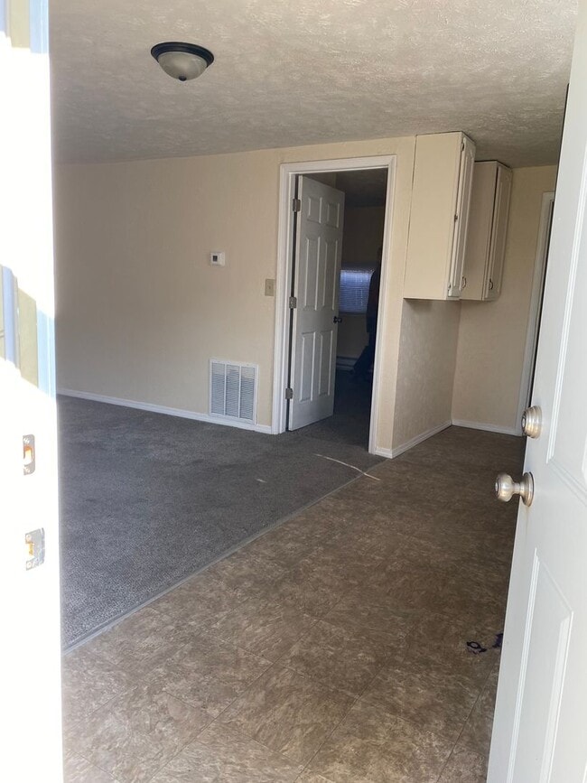 1307 S Ebright St in Muncie, IN - Building Photo - Building Photo