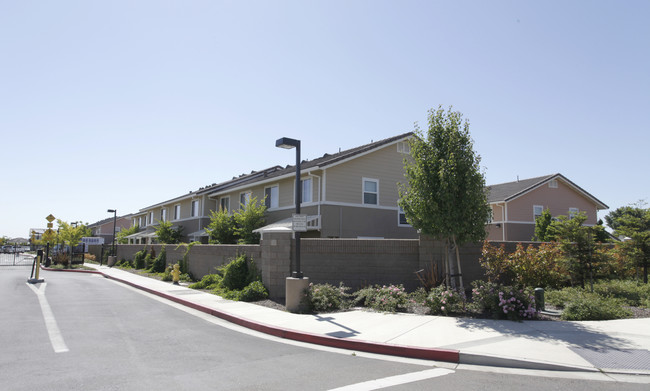 Villa Amador Apartments in Brentwood, CA - Building Photo - Building Photo