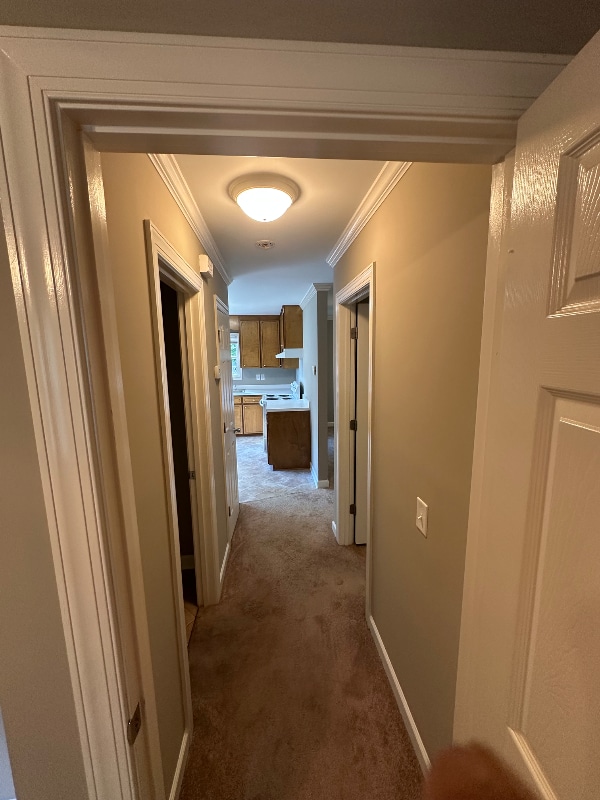 109 Rollins Acres Ln in Lillington, NC - Building Photo - Building Photo