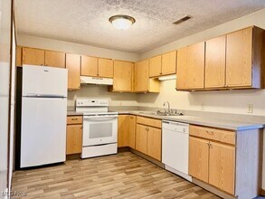 1894-1898 Springfield Lake Blvd in Akron, OH - Foto de edificio - Building Photo