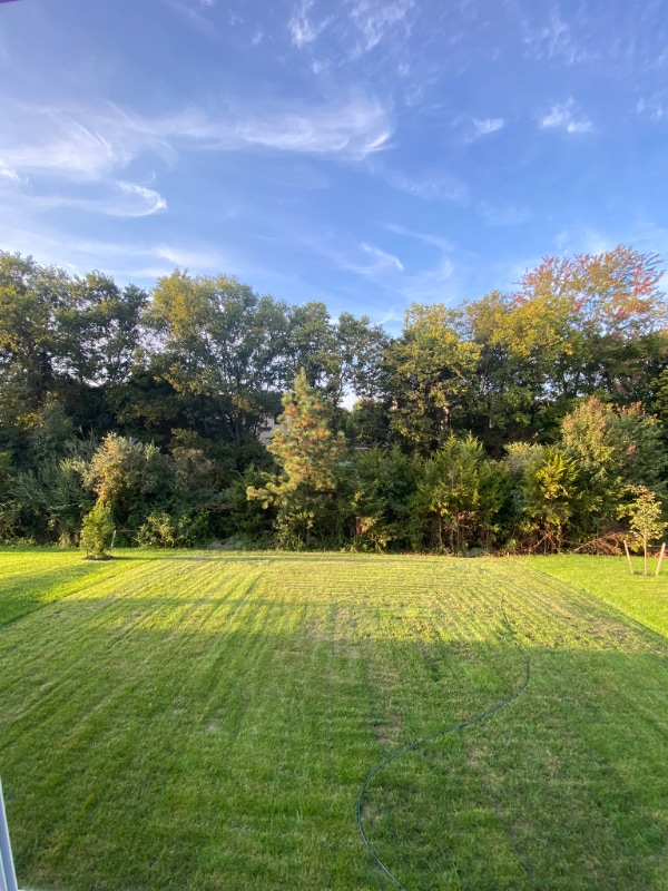 247 Laurel Pk Dr in Culpeper, VA - Building Photo - Building Photo