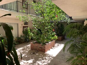 3775 S Canfield Ave in Los Angeles, CA - Building Photo - Building Photo