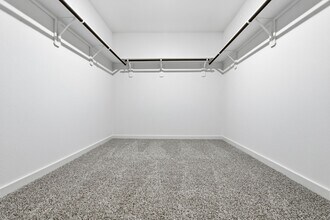 3534 Blue Mockingbird St in Katy, TX - Building Photo - Building Photo