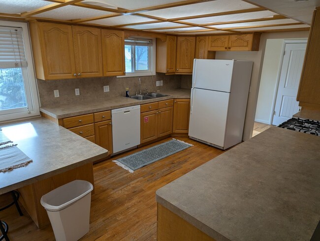 441 Maple Dr in Rexburg, ID - Building Photo - Building Photo