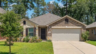 135 Courageous Side Way in Magnolia, TX - Building Photo