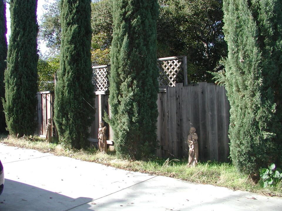 2295 Homestead Rd in Los Altos, CA - Building Photo