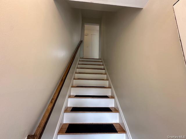 6 Finch Pl in Huntington, NY - Building Photo - Building Photo