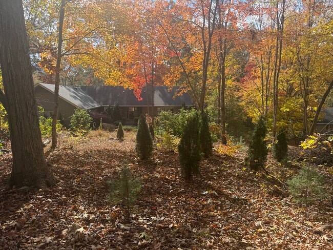 45 Pentland Hills Dr in Asheville, NC - Building Photo - Building Photo