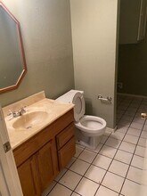 12038 Mighty Oak Dr in Houston, TX - Building Photo - Building Photo