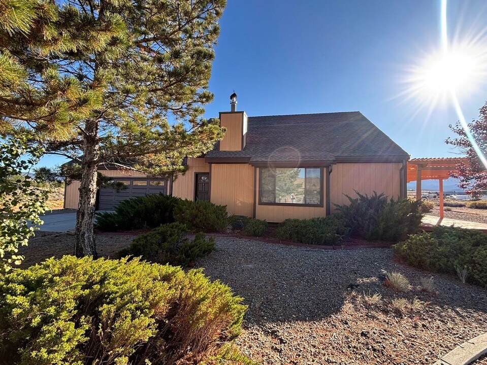 1651 Finch Dr in Gardnerville, NV - Building Photo