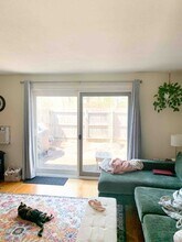 12 Webster Ct in Amherst, MA - Building Photo - Building Photo