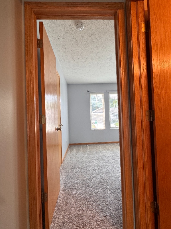 property at 16212 Timberline Dr