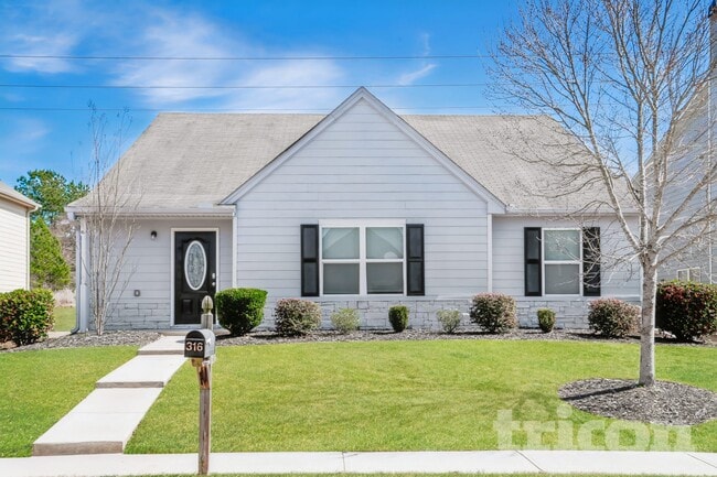 property at 316 Meadow Vista Ln